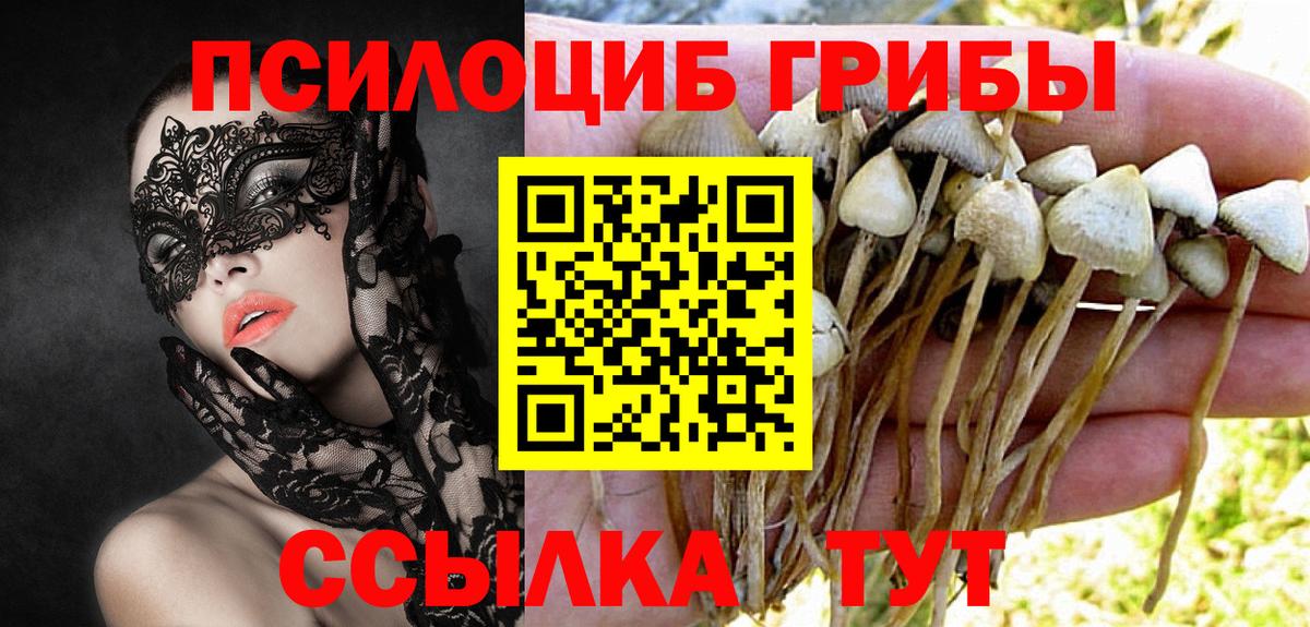 Галлюциногенные грибы Magic Shrooms Иваново
