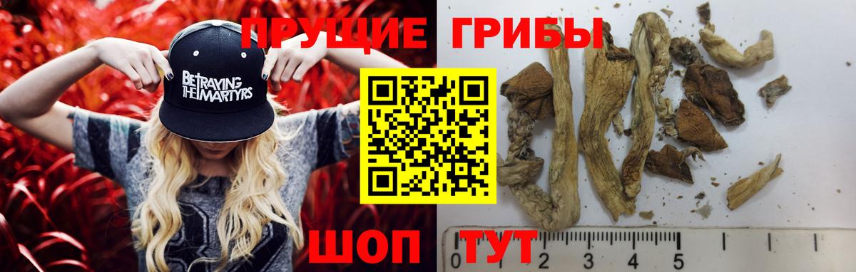 Псилоцибиновые грибы прущие грибы  Вход с VPN  Иваново  Галлюциногенные грибы Cubensis 